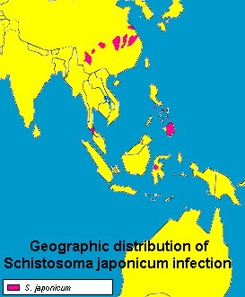 Geographic distribution of Schistosoma japonicum infection